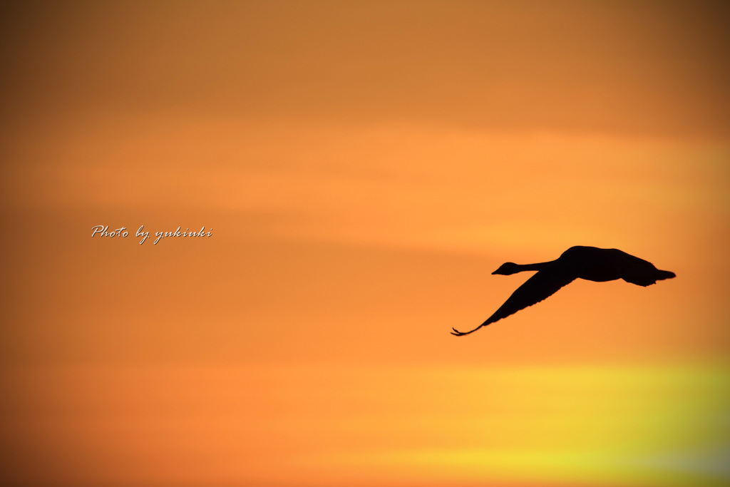 夕陽の中で...