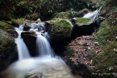 黒山三滝の渓流