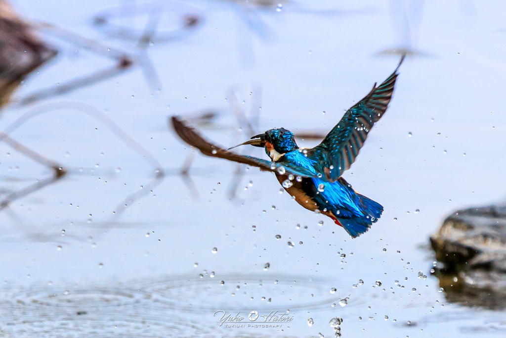 ♀への贈り物