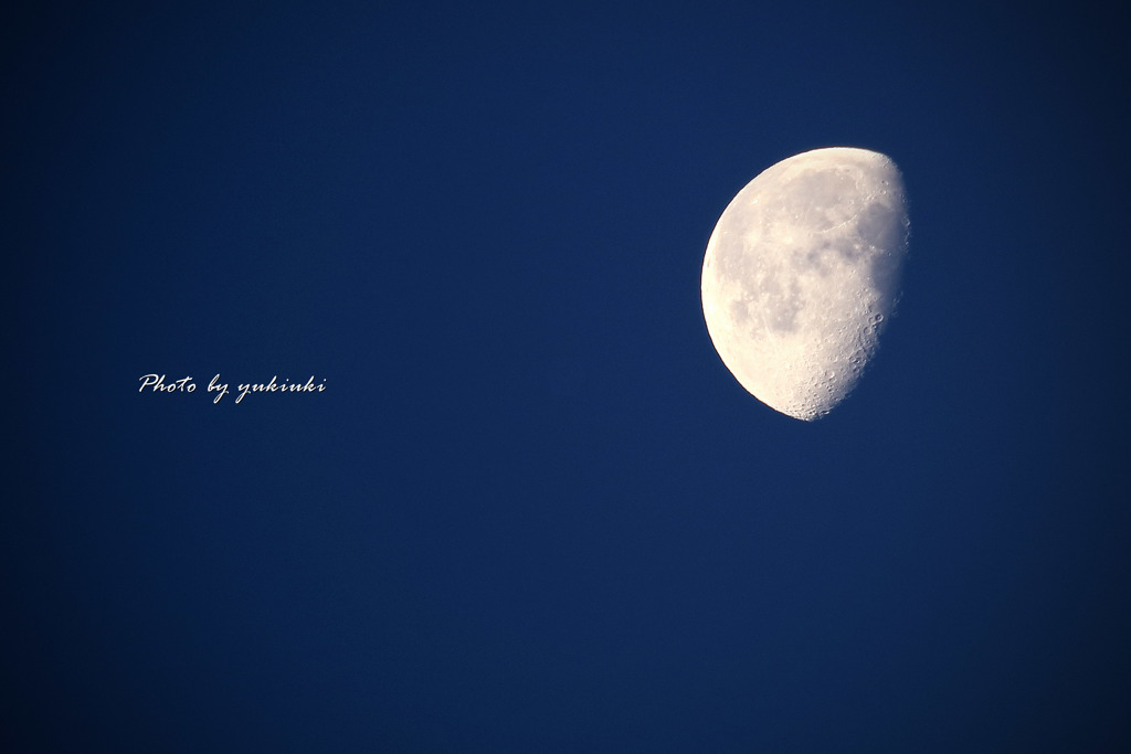 Morning moon