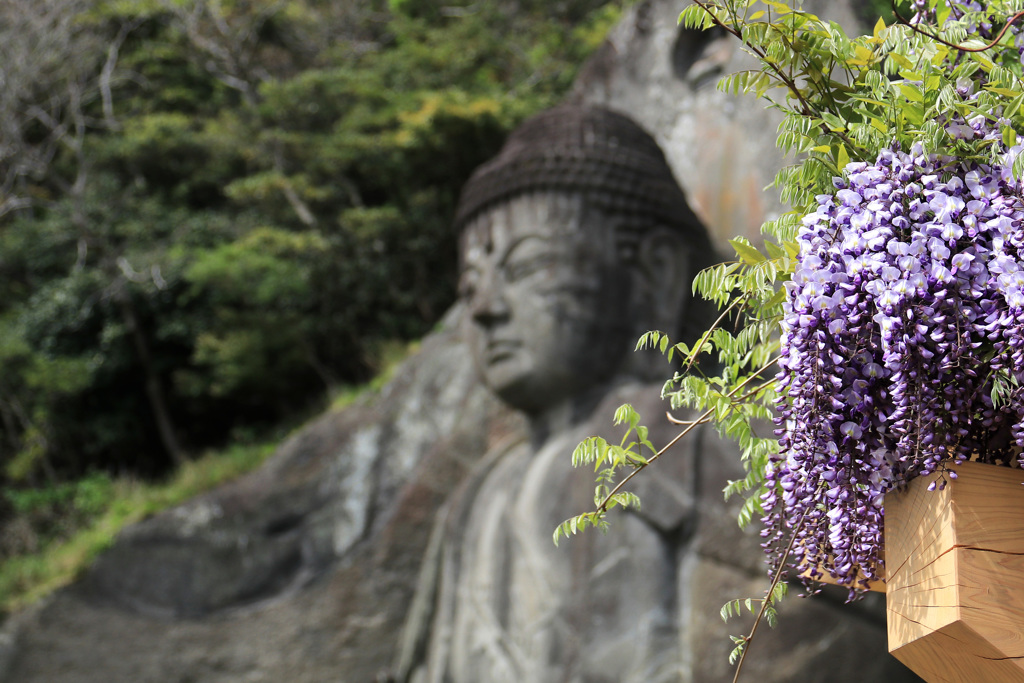 日本寺の大仏①