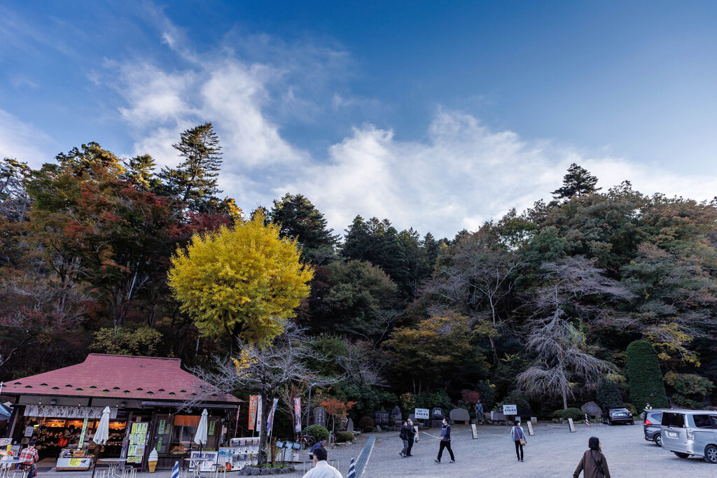 宝登山神社Ⅰ