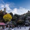 宝登山神社Ⅰ