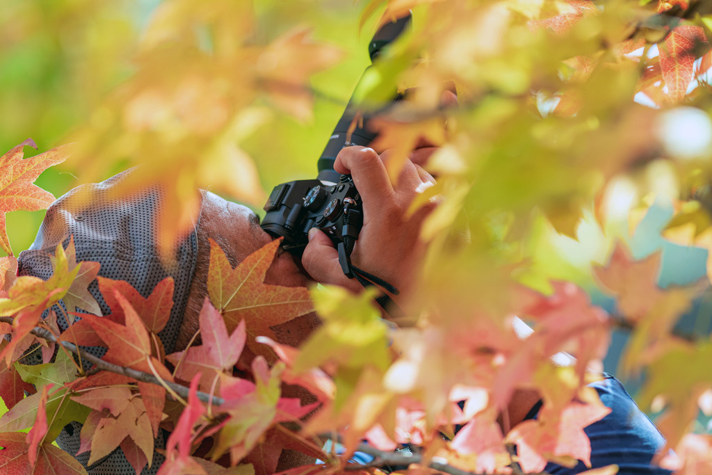 紅葉を撮る人