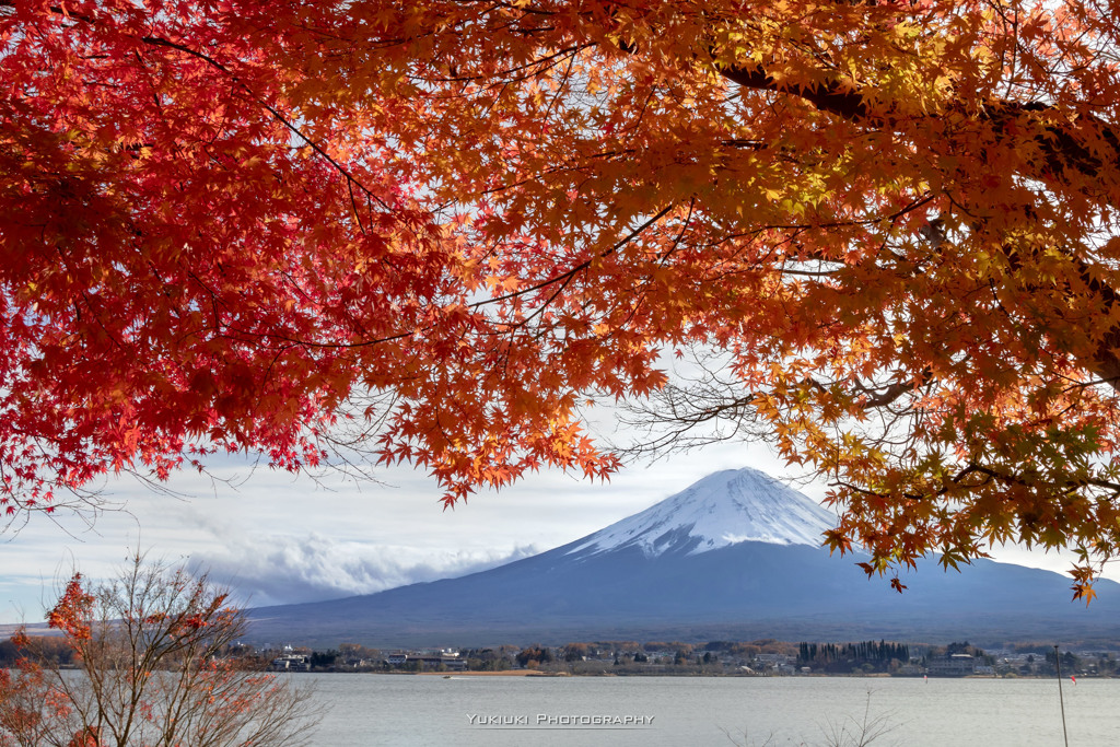 紅葉越しの富士