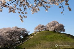 丸墓山古墳