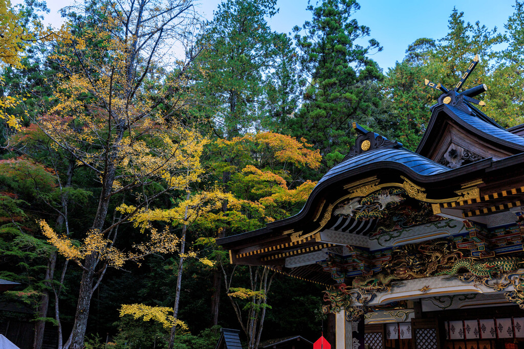 宝登山神社Ⅳ