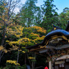 宝登山神社Ⅳ