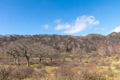 赤城白樺牧場Ⅰ