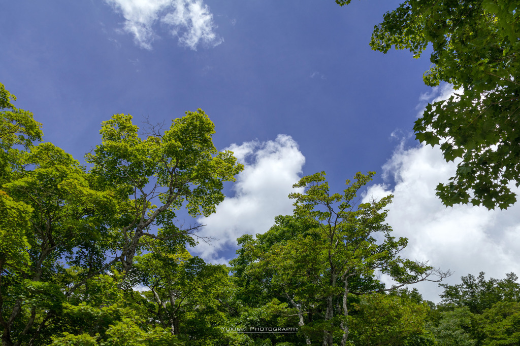 青い空