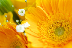 花束Ⅰ