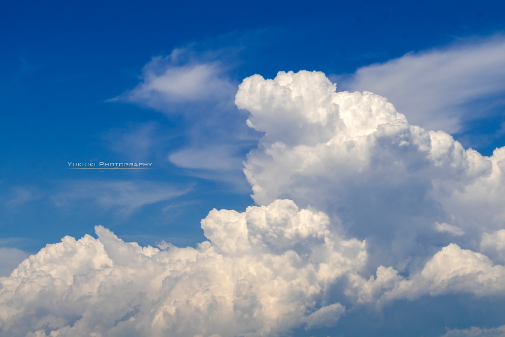 夏の空Ⅱ