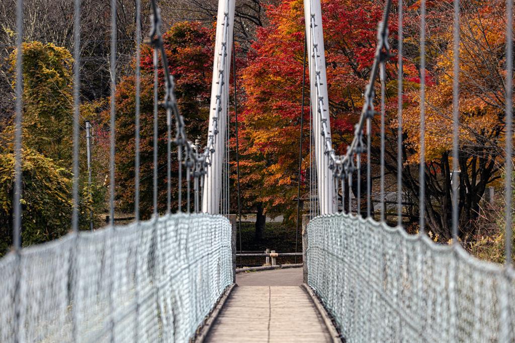 橋の向こうの秋