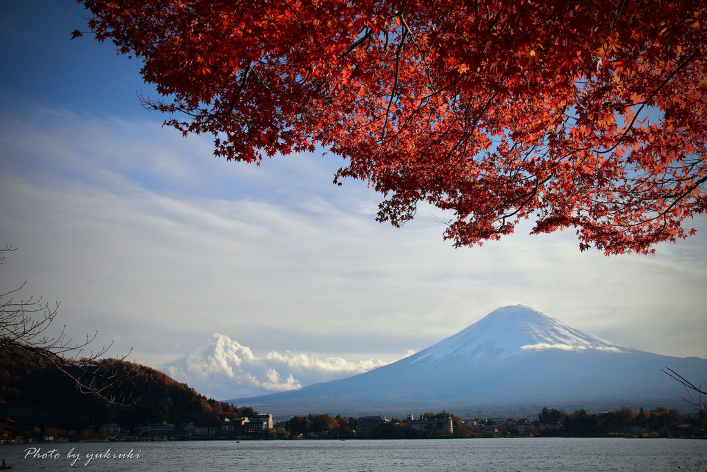 もみじ越しの富士山