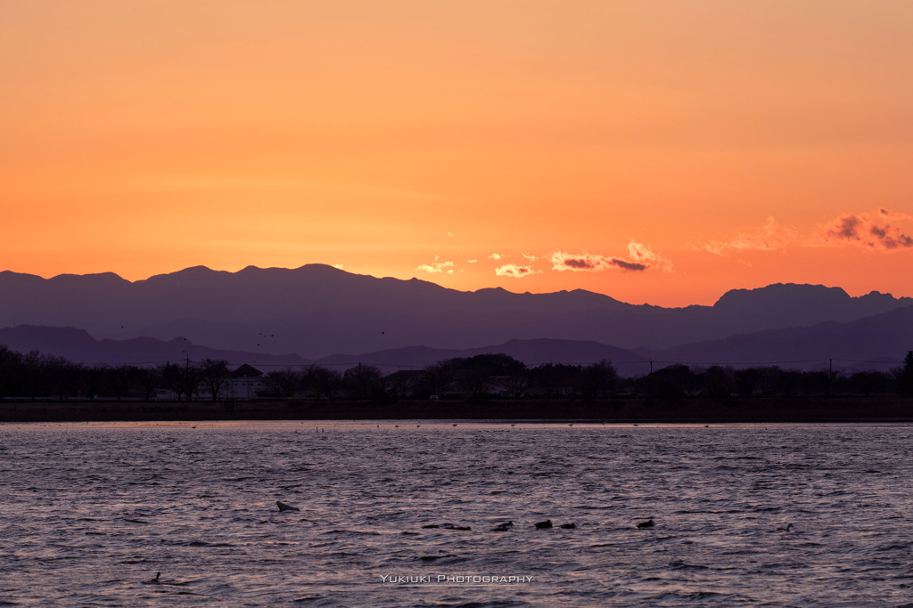 多々良沼の夕景