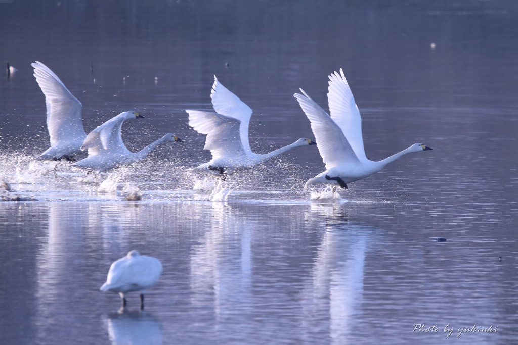 Take off！
