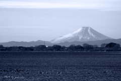 渡良瀬遊水地から望む富士