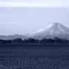 渡良瀬遊水地から望む富士
