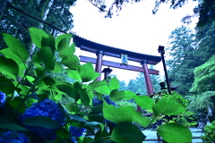北口本宮冨士浅間神社