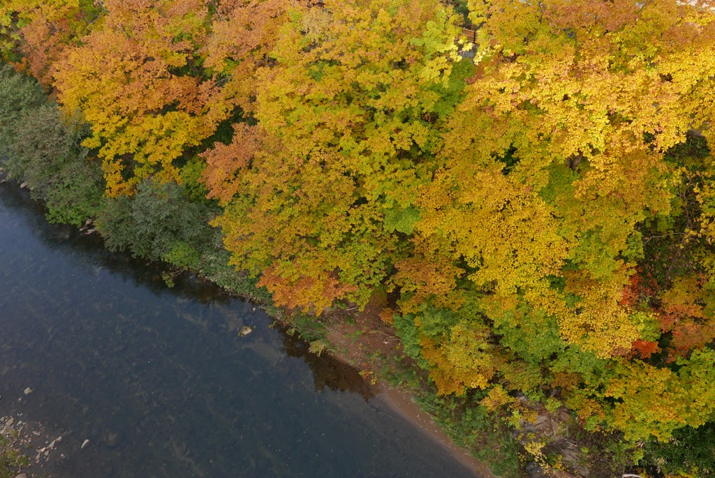 定山渓の紅葉