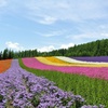 富良野 ファーム富田