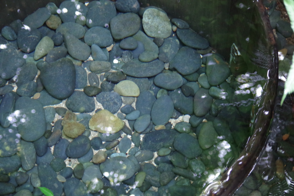 Clean Well