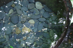 Clean Well