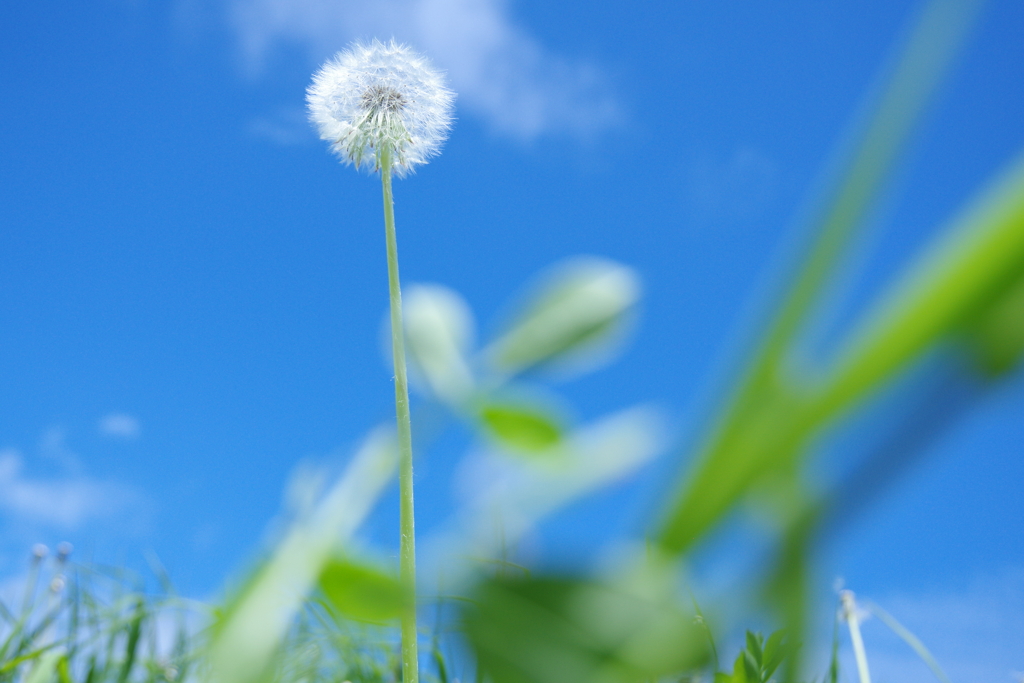 梅雨前の空
