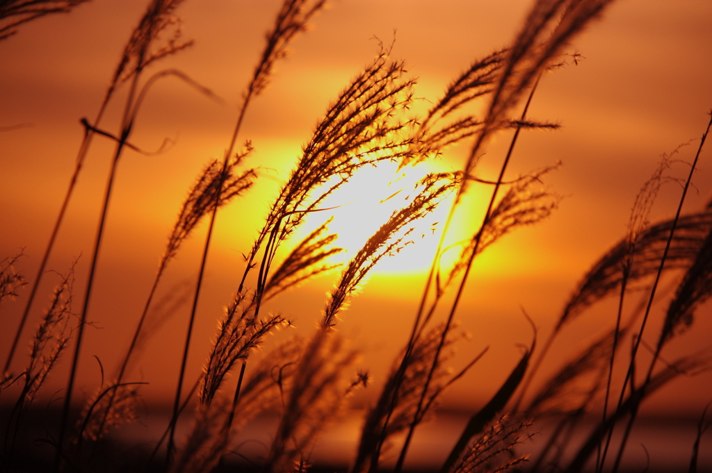 夕影