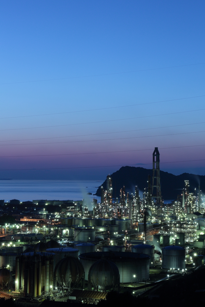 Petroleum plant