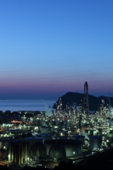 Petroleum plant