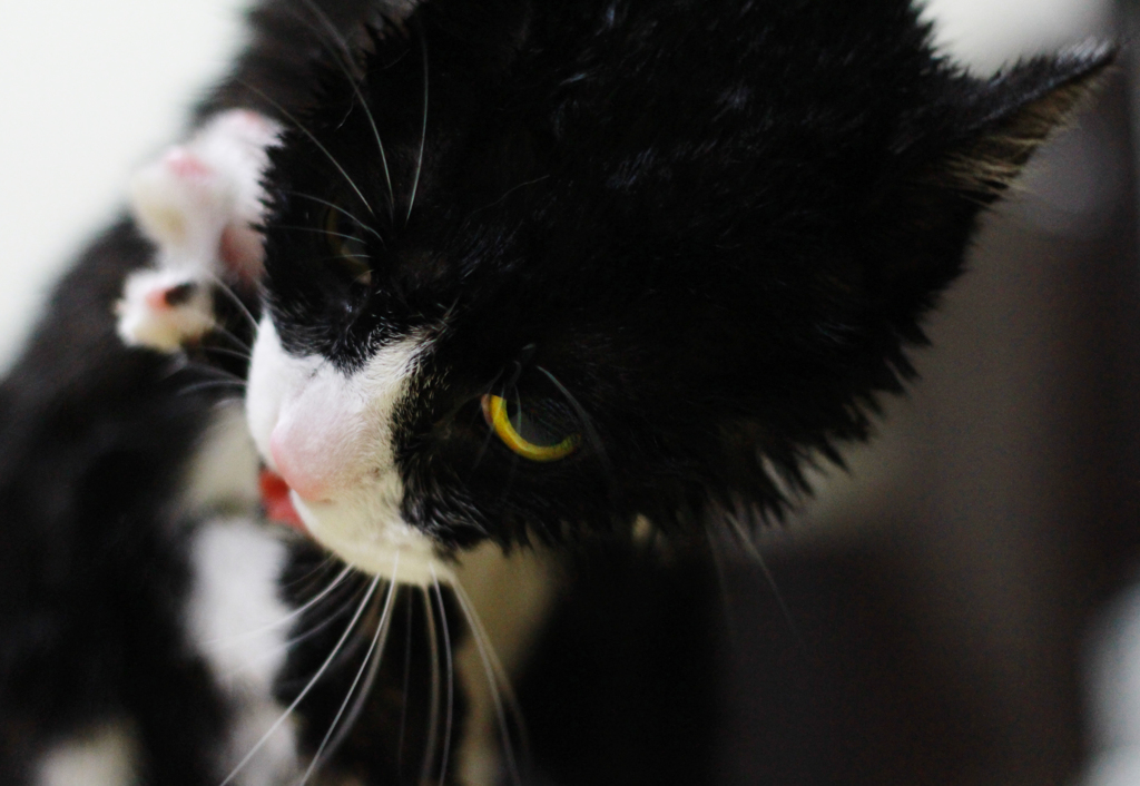 wash