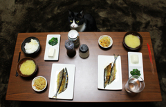 dinner