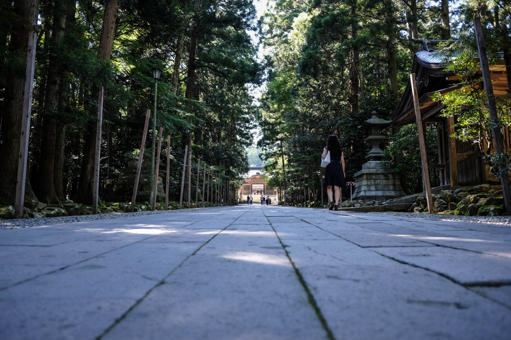 越後一之宮弥彦神社参道
