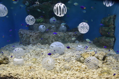 小樽水族館