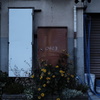 四角と花