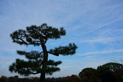 凛として。