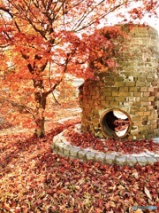 秋が残ってましたよ。