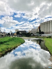 夏の空。