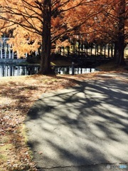 だいすきな公園。