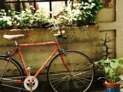 ここだけイタリアン。