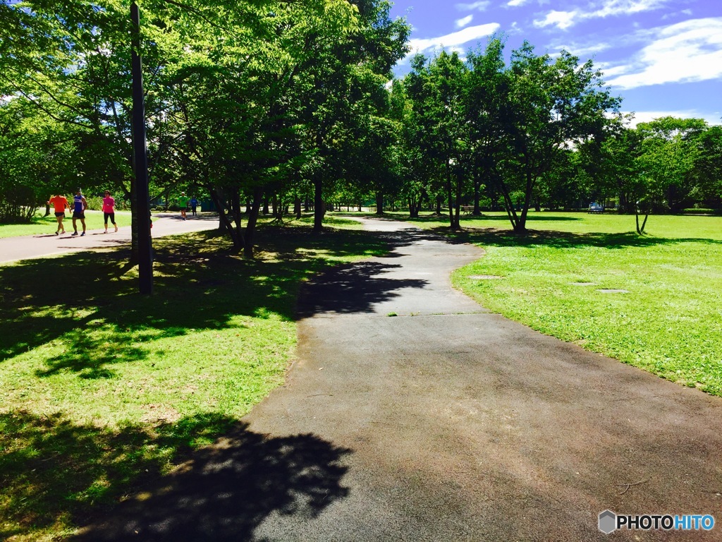 夏の公園