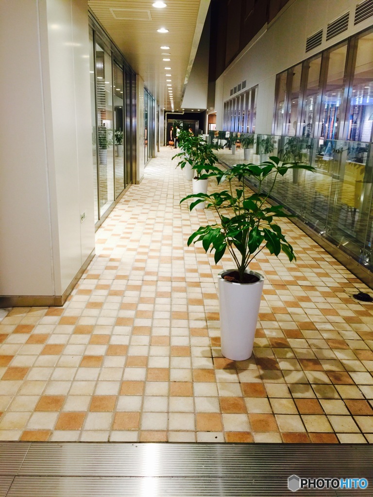 駅の小径