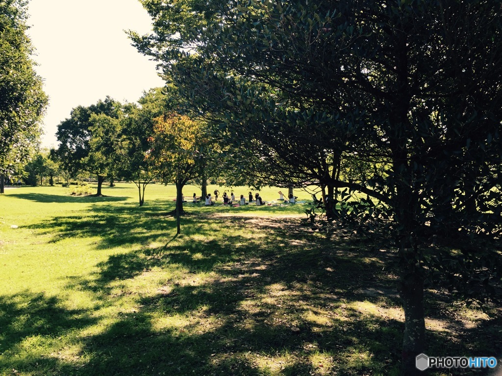 公園でヨガ