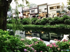 盛岡市の風景  内丸緑地