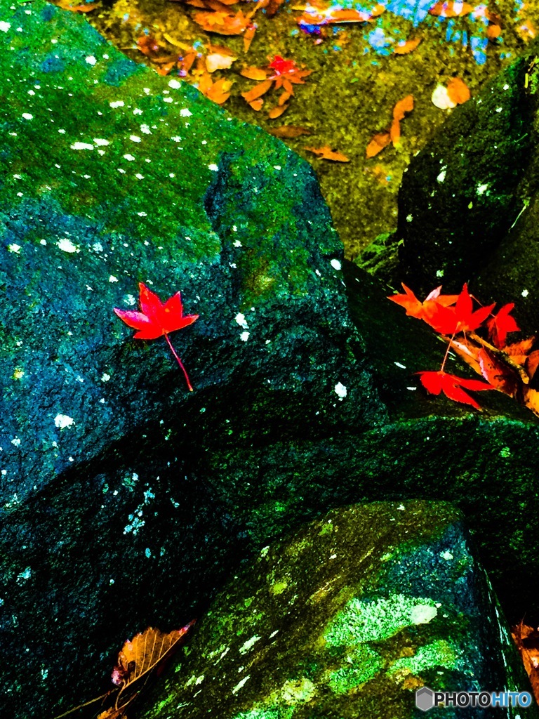 I秋の公園 紅葉