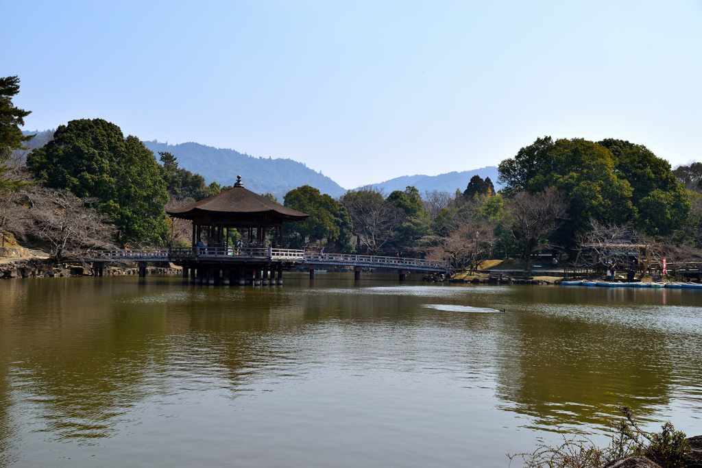 初春の浮見堂