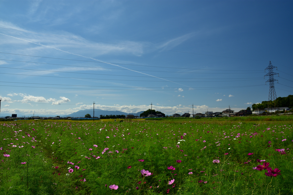 お楽しみは　もう少し先・・