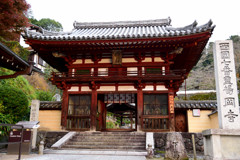 岡寺（龍蓋寺）　仁王門