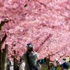 其々の楽しみ